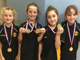 Image result for Keynsham Swimming Club