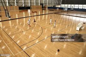 Image result for Sports Centre Netball