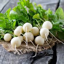 Image result for Rettich