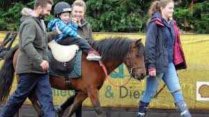 Image result for Riding For The Disabled Association