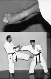 Image result for Uechi-Ryu Karate Do, Hedge End