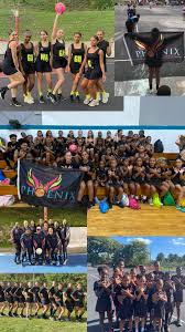 Image result for Phoenix Netball Club