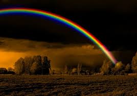 Znalezione obrazy dla zapytania rainbow