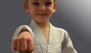 Image result for whitley karate club