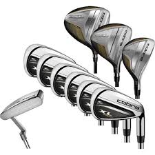 Image result for Cobra Badminton Club