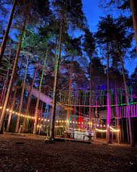 Image result for The Go Ape Experience (Swinley Forest)