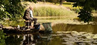 Image result for Warlingham & District Anglers` Society