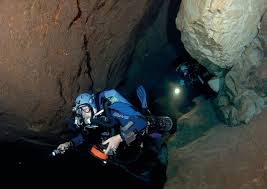 Image result for Mole Valley Sub Aqua Club