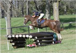 Image result for Bookham Riding School