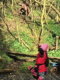 Image result for Lyme Valley Archers