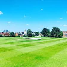 Image result for Basingstoke Sc