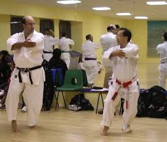 Image result for Alleyn School Of Japanese Karate