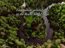 Image result for The Royal Stag Weekends