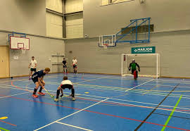 Image result for Plymouth Marjon Hockey Club