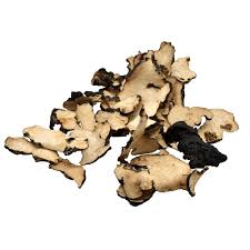 Attēlu rezultāti vaicājumam “Polyporus umbellatus”