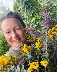 Image result for Chrysanthemum spectabile