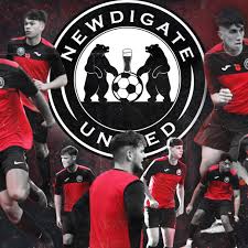 Image result for Newdigate F C