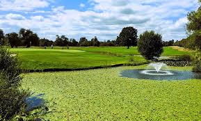 Image result for Buckinghamshire Golf Club