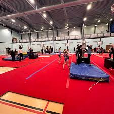 Image result for Aero Gymnastics Club