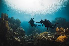 Image result for Three Seas Diving