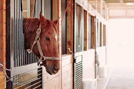 Image result for Old Park Riding Stables