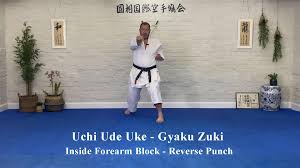 Image result for ZOKU SHOTOKAN KARATE (Baldock)