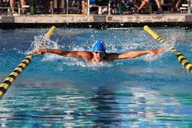 Image result for Grimsby Penguins Swimming Club