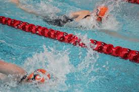Image result for Cheltenham Swimming & Water Polo Club