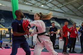 Image result for English International Allstyles Taekwon-Do