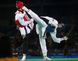 Image result for Dujon Tae Kwon Do
