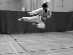 Image result for Oxford University Shorinji Kempo Club