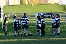 Image result for Sutton & Epsom Rugby Football Club