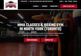 Image result for York University Boxing Club