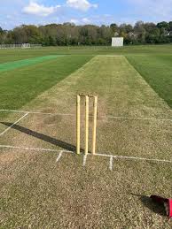 Image result for Frecheville Community Cricket Club