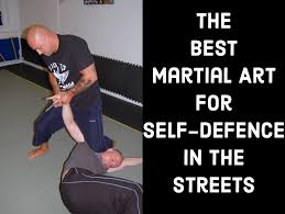 Image result for Combined self defence arts