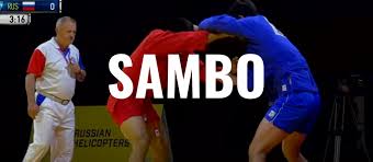 Image result for Combat Sambo