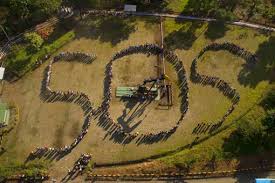 images?q=tbn:ANd9GcSBeqHlCC-YomN4EqZqRHs6mqbYv8mu989lgnVnULwwA6iqN1QB3A