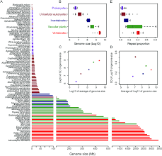 Image result for genome sizes