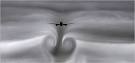 The Inevitability of Bumps - New York Times