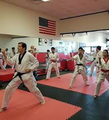 Image result for Torbay Taekwondo Schools