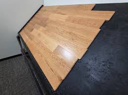 Image result for White Oak Aikido Whitton