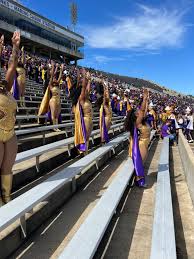 Image result for clacton royalette majorettes