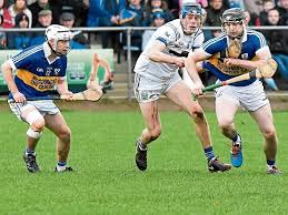 Image result for Sean Treacy`s Hurling Club