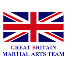 Image result for Great Britain Martial Arts Academy