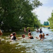 Image result for Thames Valley Swimming School