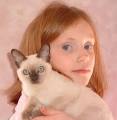 Cover Susan Cronin Ruderman (Louise Frank). Tonkinese Photo - Photo166