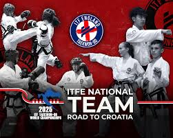 Image result for Bytomic Tae Kwon Do Watford