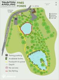 Image result for Taunton Angling Association