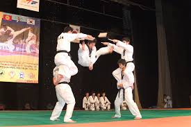 Image result for South Bank Taekwondo