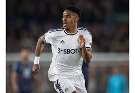 Image result for Leeds juniors afc